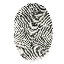 b2ap3_thumbnail_thumb_print_theft_400_20180301-080110_1.jpg